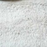 Fourrure gris polaire