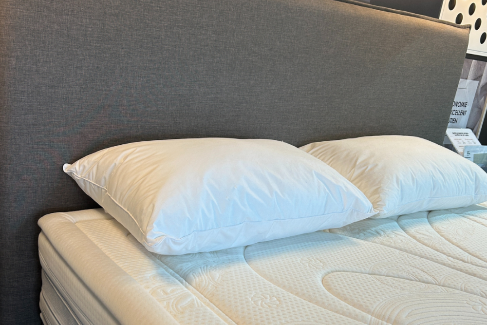 L'oreiller SENSATION offre le meilleur de la fibre avec une sensation duvet garantie. Le tissu 100% coton d'une douceur et d'une respirabilité maximale, permet d'absorber l'humidité. Son effet moelleux procure une sensation optimale de confort et de bien-être, en récupérant sa forme nuit après nuit.